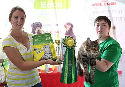 �������� ����� 29-30 ������� 2015 WCF-�����  2_30_169A6844.jpg