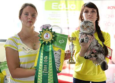 �������� ����� 29-30 ������� 2015 WCF-�����  8_110_169A6851.jpg