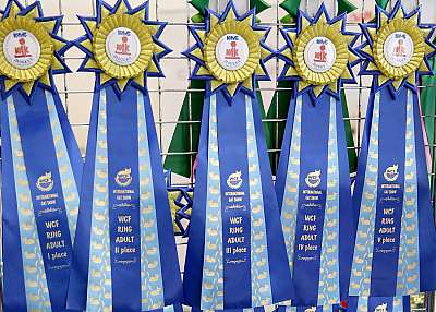 �������� ����� 29-30 ������� 2015 WCF-�����  169A7393.jpg