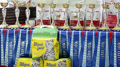 �������� ����� 29-30 ������� 2015 WCF-�����  169A8322.jpg