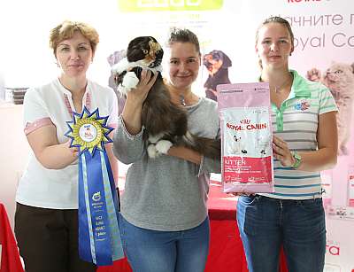 �������� ����� 29-30 ������� 2015 WCF-�����  1_169A8613.jpg