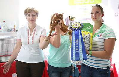 �������� ����� 29-30 ������� 2015 WCF-�����  6_82_169A8603.jpg