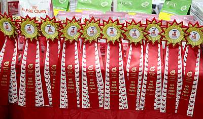 �������� ����� 29-30 ������� 2015 WCF-�����  169A5924.jpg