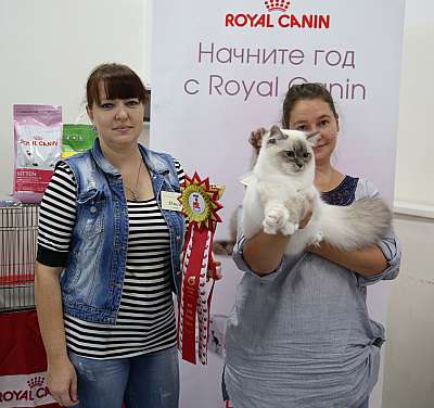 �������� ����� 29-30 ������� 2015 WCF-�����  1_142_169A6140.jpg