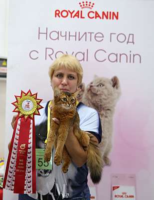 �������� ����� 29-30 ������� 2015 WCF-�����  8_55_169A6108.jpg