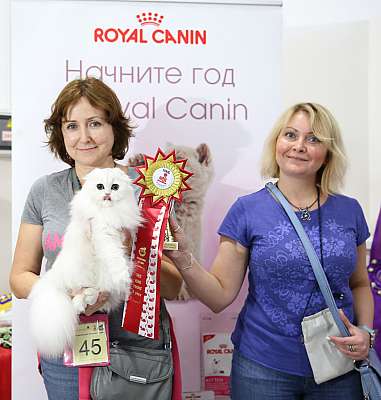 �������� ����� 29-30 ������� 2015 WCF-�����  9_45_169A6112.jpg