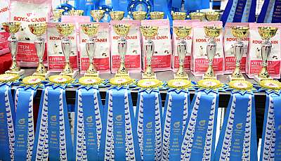 �������� ����� 29-30 ������� 2015 WCF-�����  169A7702.jpg