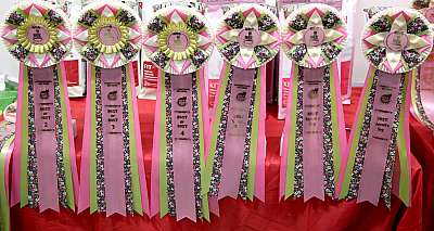 �������� ����� '���-�����-��������' 19-20 �������� 2015 169A5213.jpg