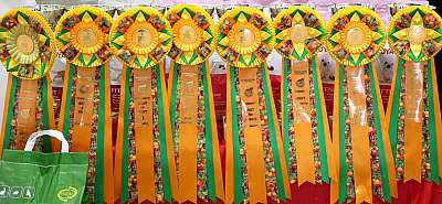 �������� ����� '���-�����-��������' 19-20 �������� 2015  169A5903.jpg