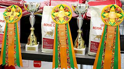 �������� ����� '���-�����-��������' 19-20 �������� 2015  169A5905.jpg