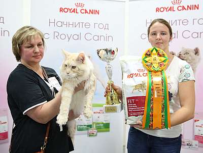 �������� ����� '���-�����-��������' 19-20 �������� 2015  6-13-169A6418.jpg