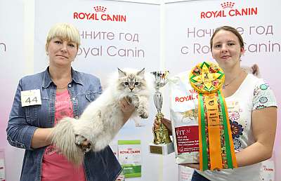 �������� ����� '���-�����-��������' 19-20 �������� 2015  7-44-169A6430.jpg