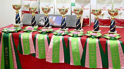 �������� ����� 19-20 �������� 2015, ������������ ���  169A3907.jpg