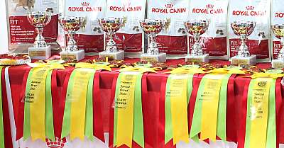 �������� ����� 19-20 �������� 2015, ������������ ���  169A4592.jpg