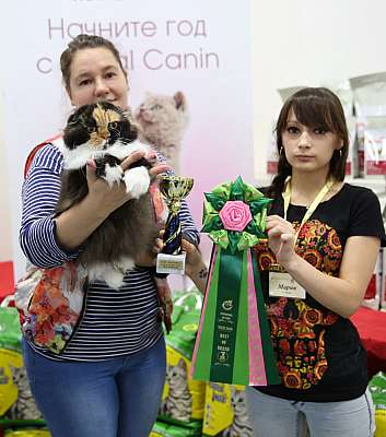 �������� ����� 19-20 �������� 2015, ������������ ���  sfs-123-169A4148.jpg