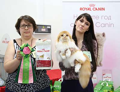 �������� ����� 19-20 �������� 2015, ������������ ���  sfs-52-169A4163.jpg