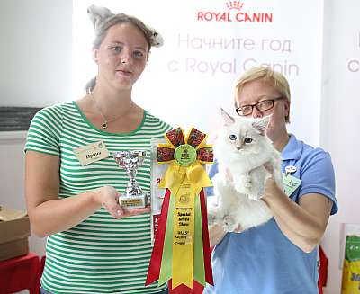 �������� ����� 19-20 �������� 2015, ������������ ���  sib-43-169A4710.jpg