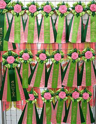 �������� ����� 19-20 �������� 2015, ������������ ���  z69A3903.jpg