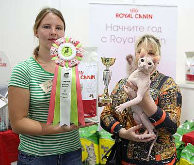 �������� ����� 19-20 �������� 2015 WCF-����� 1-132-169A5043.jpg