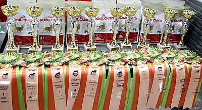 �������� ����� 19-20 �������� 2015 WCF-����� 169A5596.jpg