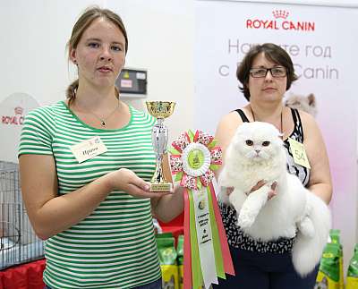 �������� ����� 19-20 �������� 2015 WCF-����� 6-54-169A5090.jpg