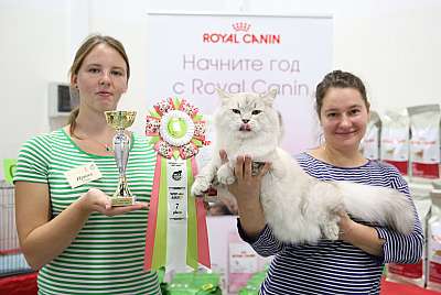 �������� ����� 19-20 �������� 2015 WCF-����� 7-121-169A5082.jpg