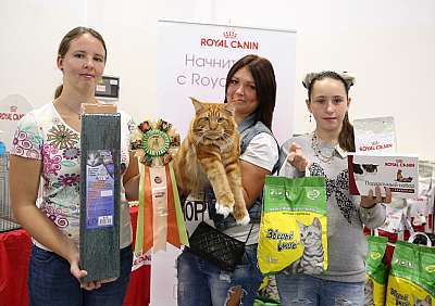 �������� ����� 19-20 �������� 2015 WCF-����� 9-12-169A5721.jpg