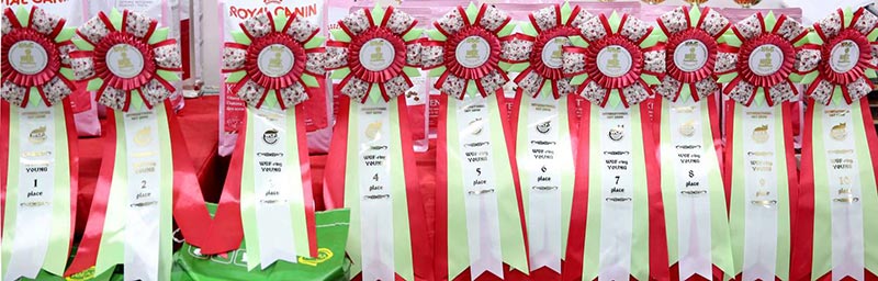 �������� ����� 19-20 �������� 2015 WCF-����� 169A4410.jpg