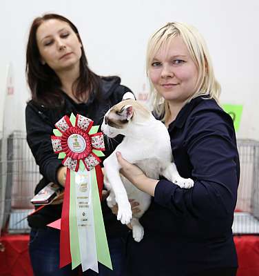 �������� ����� 19-20 �������� 2015 WCF-����� 6-105-169A4480.jpg