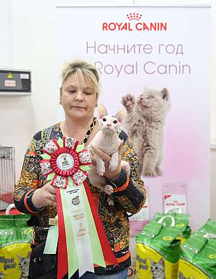 �������� ����� 19-20 �������� 2015 WCF-����� 9-99-169A4483.jpg