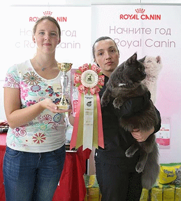 �������� ����� 19-20 �������� 2015 WCF-����� 6-5-169A6114.jpg