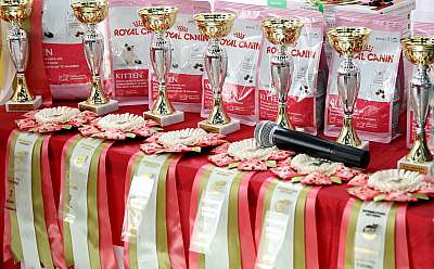 �������� ����� 19-20 �������� 2015 WCF-����� 169A5909.jpg