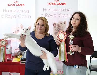 �������� ����� 19-20 �������� 2015 WCF-����� 4-35-169A6122.jpg