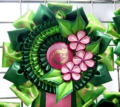 �������� ����� 14-15 ������ 2015 0-169A0986.jpg