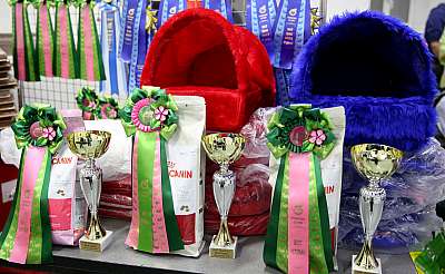 �������� ����� 14-15 ������ 2015 0-169A1956.jpg