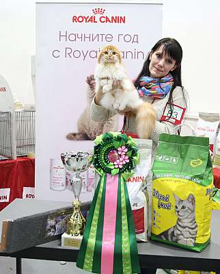 �������� ����� 14-15 ������ 2015 �������� ����� 14-15 ������ 2015 1-83-169A2105.jpg