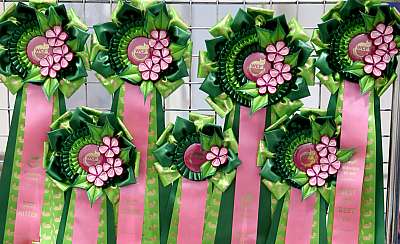 �������� ����� 14-15 ������ 2015 0-169A0100.jpg