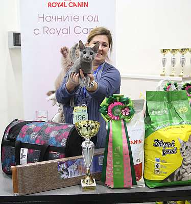 �������� ����� 14-15 ������ 2015 14-196-169A3736.jpg