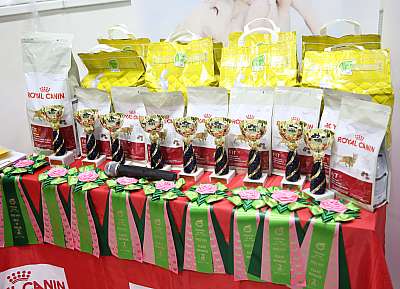 �������� ����� 14-15 ������ 2015, ������������ ��� 0-169A0115.jpg