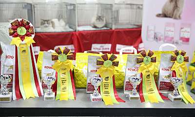 �������� ����� 14-15 ������ 2015, ������������ ��� 0-169A1199.jpg