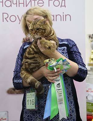 �������� ����� 14-15 ������ 2015, ������������ ��� 169A0365.jpg