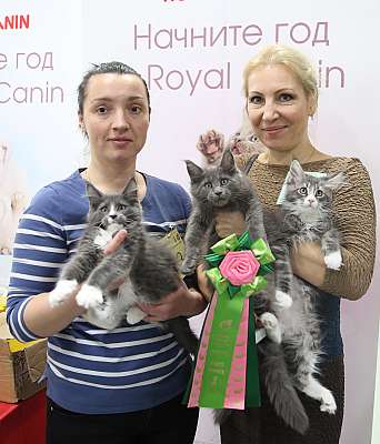 �������� ����� 14-15 ������ 2015, ������������ ��� 169A0464.jpg