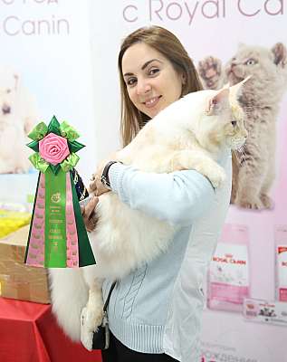 �������� ����� 14-15 ������ 2015, ������������ ��� 169A0479.jpg