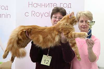 �������� ����� 14-15 ������ 2015, ������������ ��� 169A0504.jpg