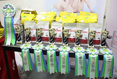 �������� ����� 14-15 ������ 2015, ������������ ��� 169A2388.jpg