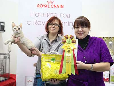 �������� ����� 14-15 ������ 2015, ������������ ��� 169A2433.jpg