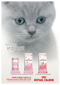 ���� �������� ROYAL CANIN