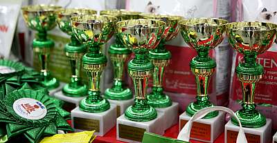 �������� ����� 14-15 ������ 2015 WCF-����� 0-169A0106.jpg