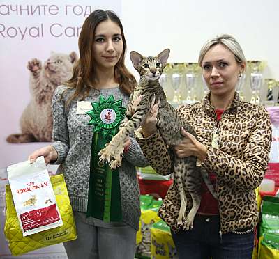 �������� ����� 14-15 ������ 2015 WCF-����� 2-179-169A0994.jpg