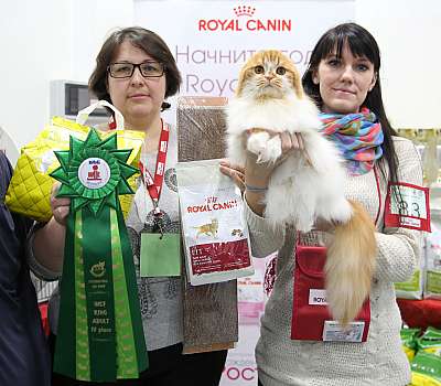 �������� ����� 14-15 ������ 2015 WCF-����� 4-83-169A1030.jpg